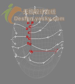 3DsMAX7.5毛發新功能實例：曲線定制發型