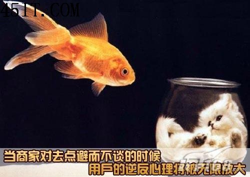 比例之爭(zhēng)仍繼續(xù)16：9液晶緣何遭遇千夫指(5)