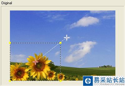 會(huì)聲會(huì)影教程之自動(dòng)搖動(dòng)和縮放