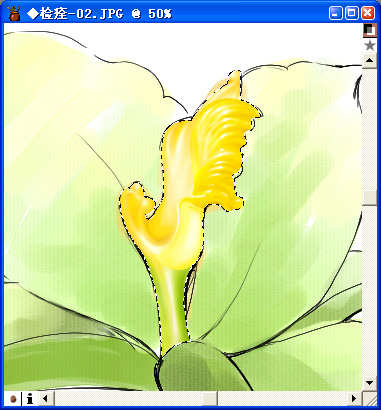用painter與數碼板繪制百合花（圖十六）