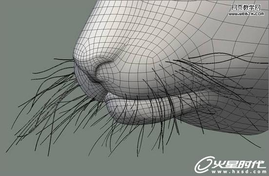 3dsmax繪制毛色亮麗視覺沖擊感強的3D老虎-Vevb.com